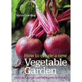 How to Create a New Vegetable Garden