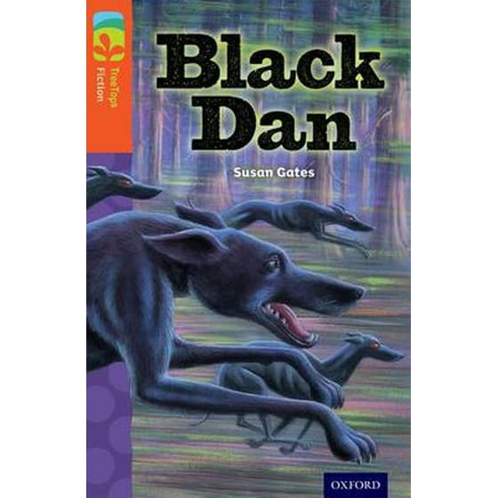 Oxford Reading Tree TreeTops Fiction- Level 13 More Pack A- Black Dan image 0