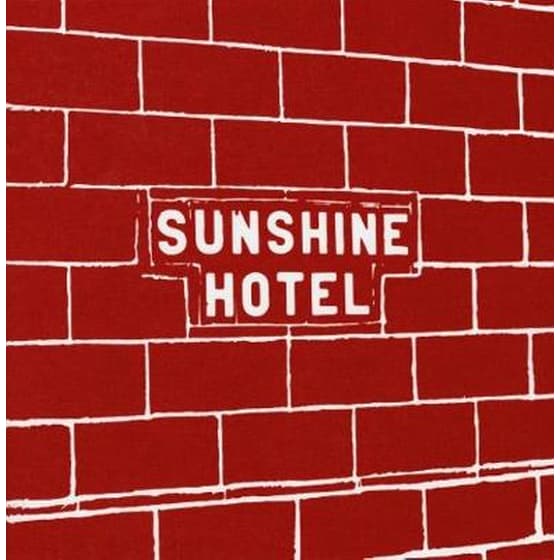 Mitch Epstein: Sunshine Hotel image 0