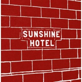 Mitch Epstein: Sunshine Hotel