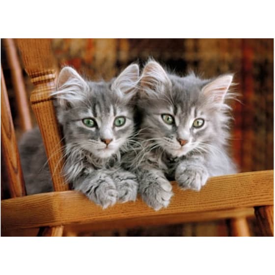 Παζλ High Quality Collection Kittens Clementoni (500 Κομμάτια) image 1