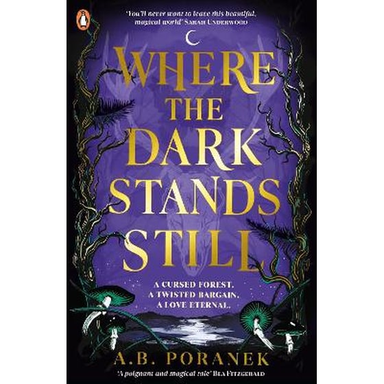 Where the Dark Stands Still image 0