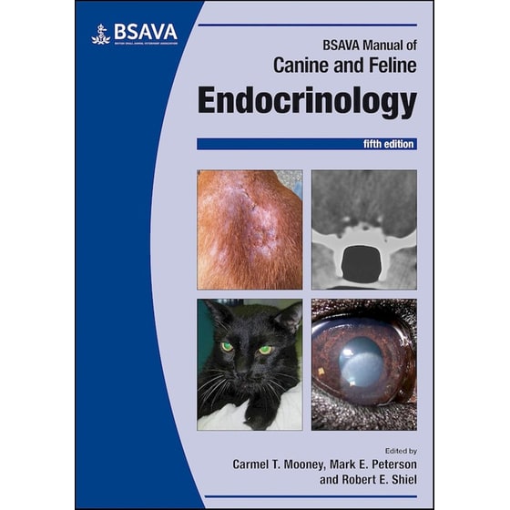 Endocrinology image 0