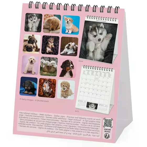 Ημερολόγιο Γραφείου Legami 2026 Puppies image 3