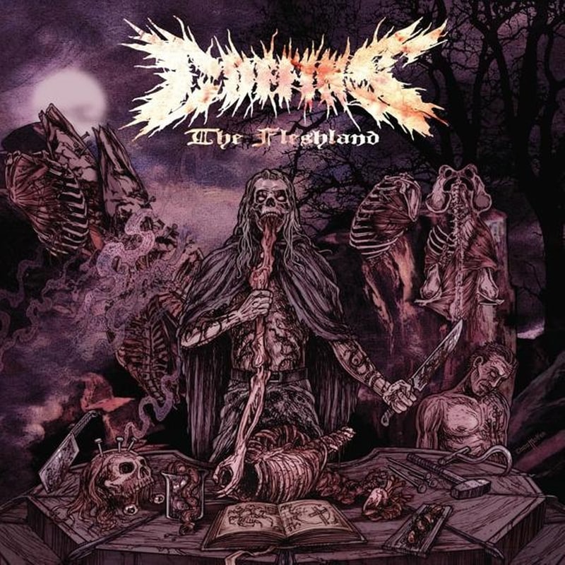 The Fleshland (LP Colored)