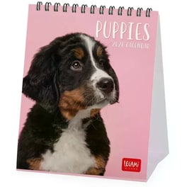 Ημερολόγιο Γραφείου Legami 2026 Puppies