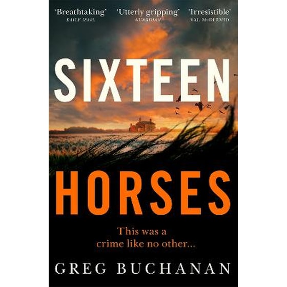 Sixteen Horses image 0
