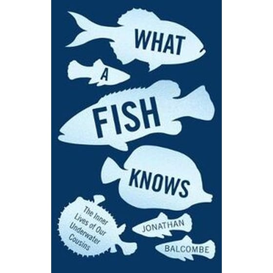 What a Fish Knows image 0