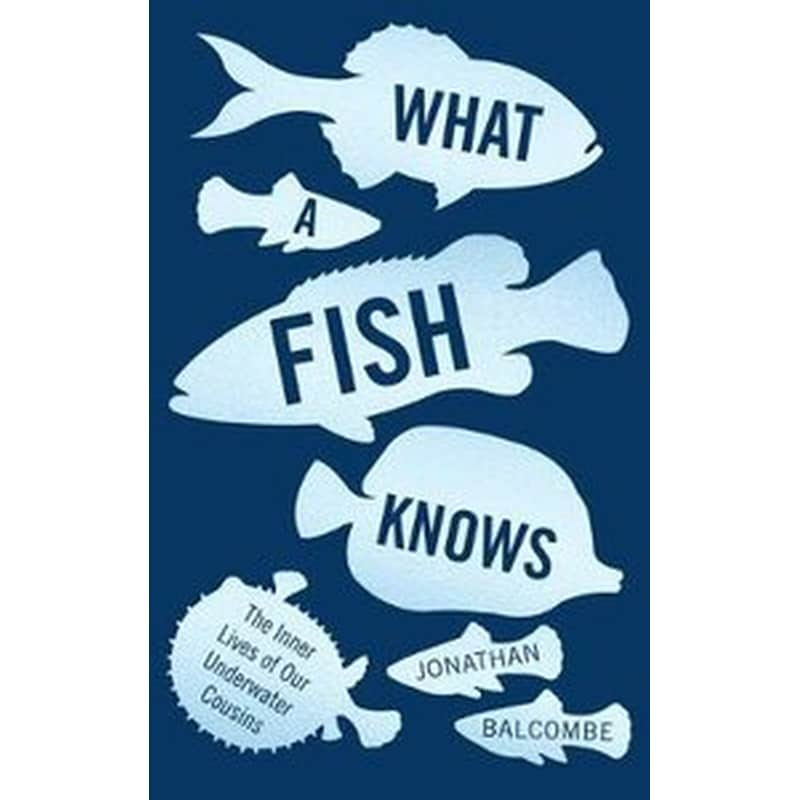 What a Fish Knows