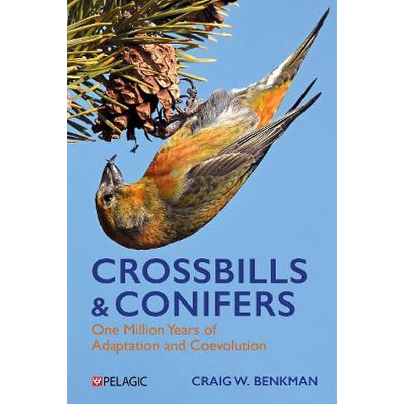 Crossbills and Conifers