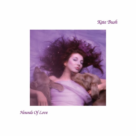 Hounds Of Love image 0