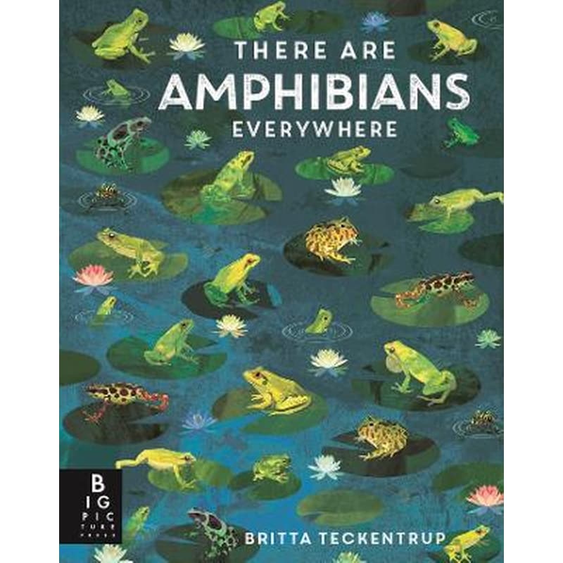 There Are Amphibians Everywhere