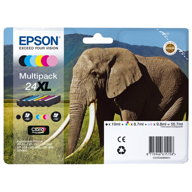 Μελάνι Epson T2438 Πακέτο 2 Μελανιών - C13T24384011