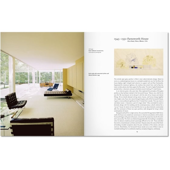 Mies van der Rohe image 3