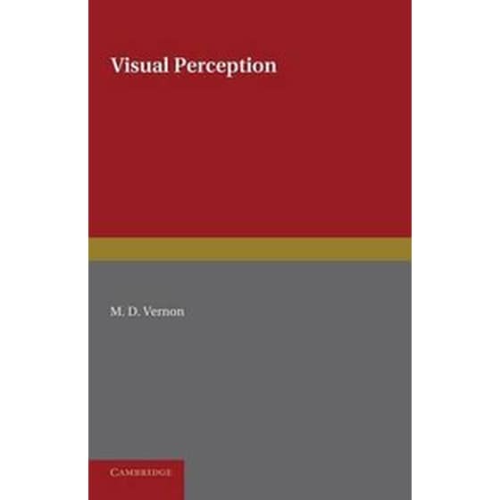 Visual Perception image 0