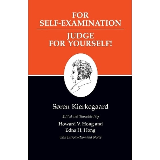 Kierkegaard's Writings, XXI, Volume 21 image 0