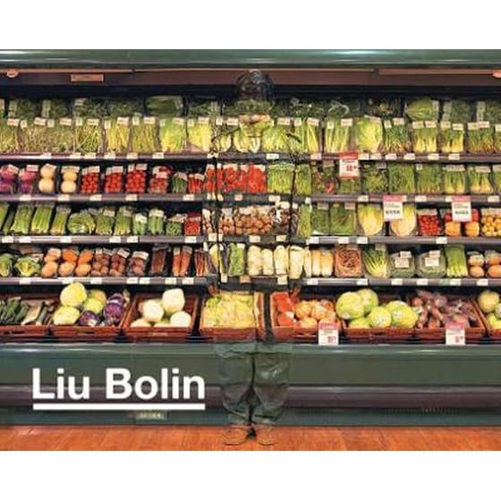 LIU BOLIN image 0
