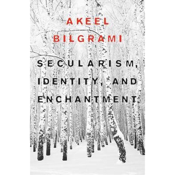 Secularism, Identity, and Enchantment image 0