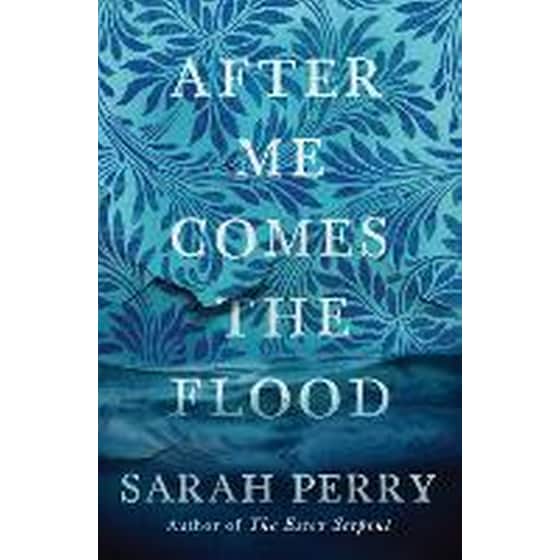 After Me Comes the Flood image 0