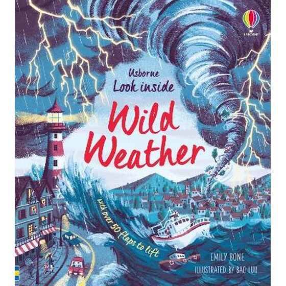 Look Inside Wild Weather image 0
