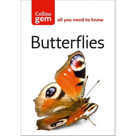 Butterflies Butterflies image 0