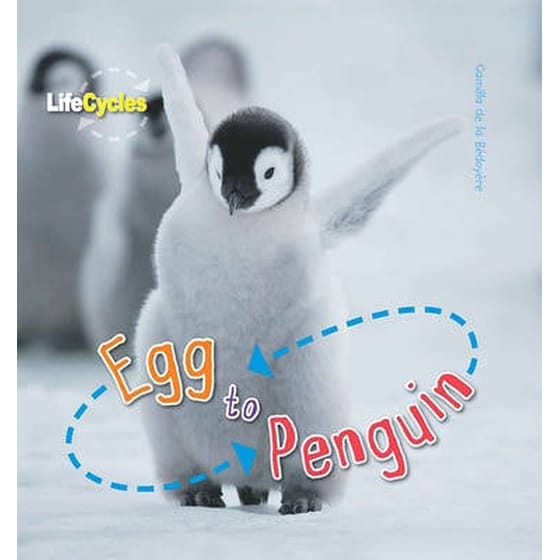 Life Cycles: Egg to Penguin image 0