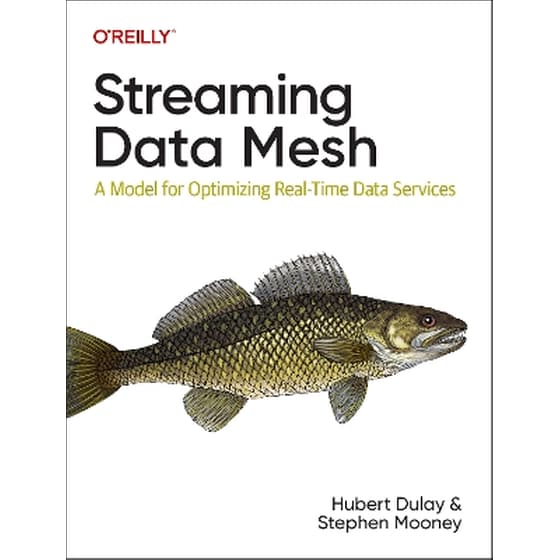 Streaming Data Mesh image 0