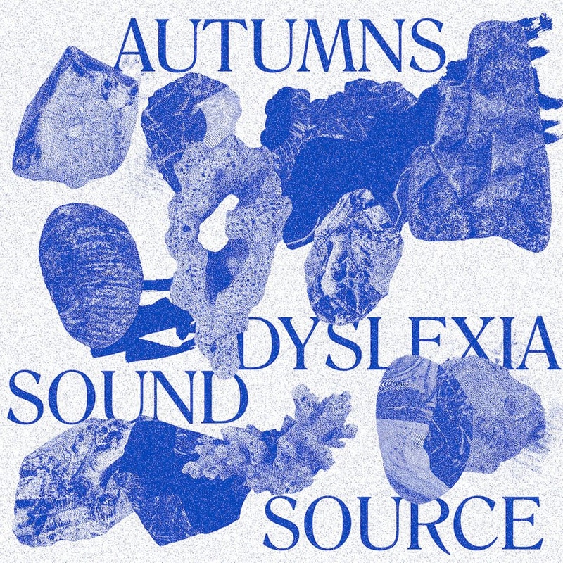 Dyslexia Sound Source (LP)