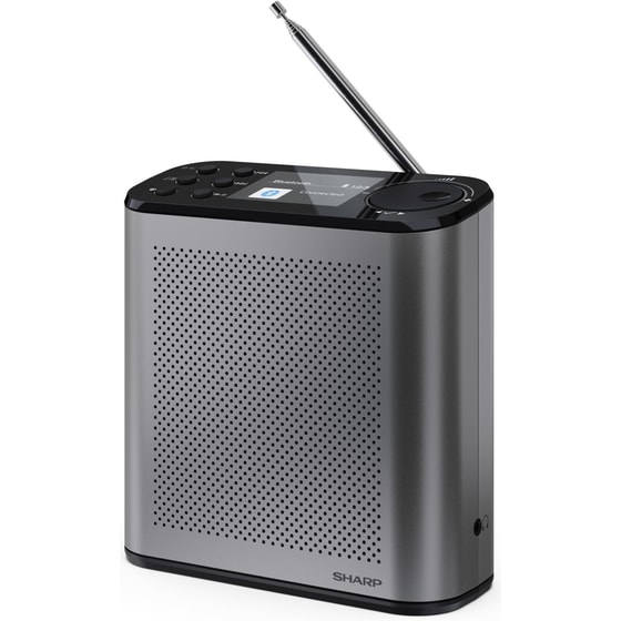 Φορητό Radio Sharp DR-P530 - Storm Grey image 0