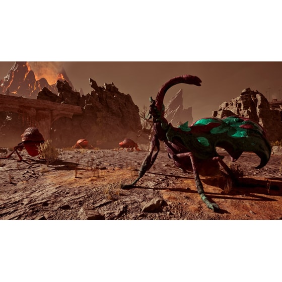 Avowed  Premium Steelbook Edition - Xbox Series X (Code in a Box) image 15
