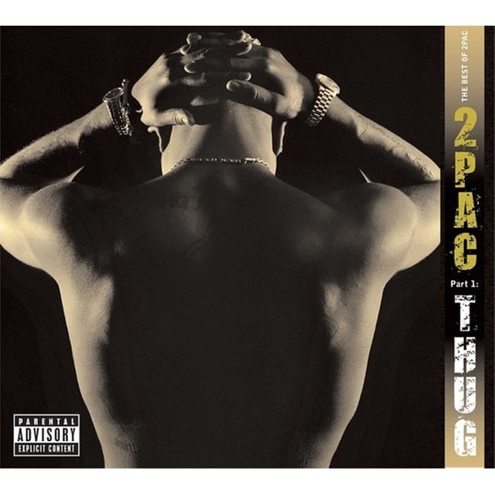 The Best Of 2Pac - Part 1: Thug (2LP) image 0