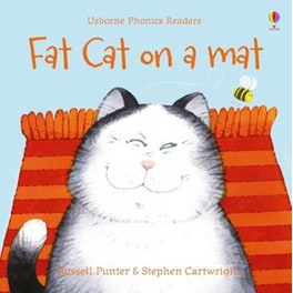 Fat cat on a mat