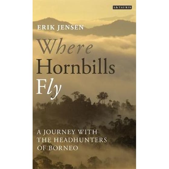 Where Hornbills Fly image 0