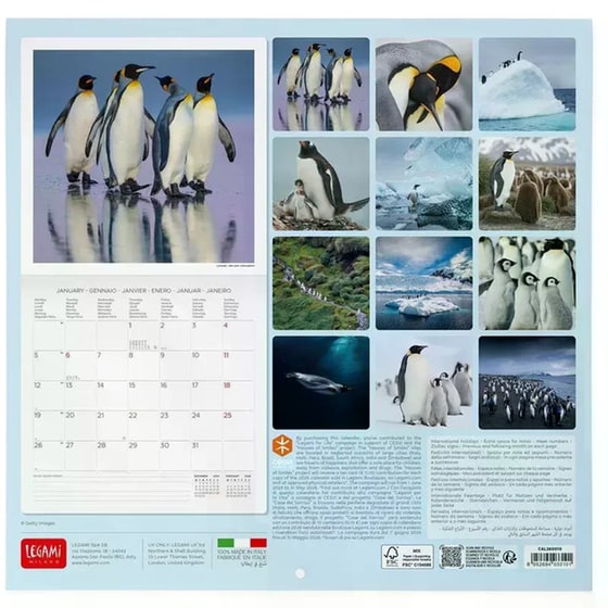 Ημερολόγιο Τοίχου Legami 2026 Penguins 30x29cm image 2