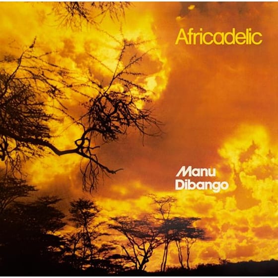 Africadelic image 0