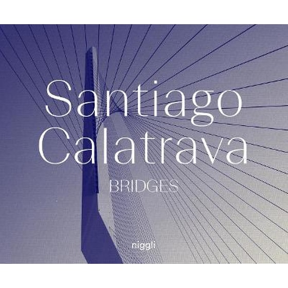 Santiago Calatrava image 0