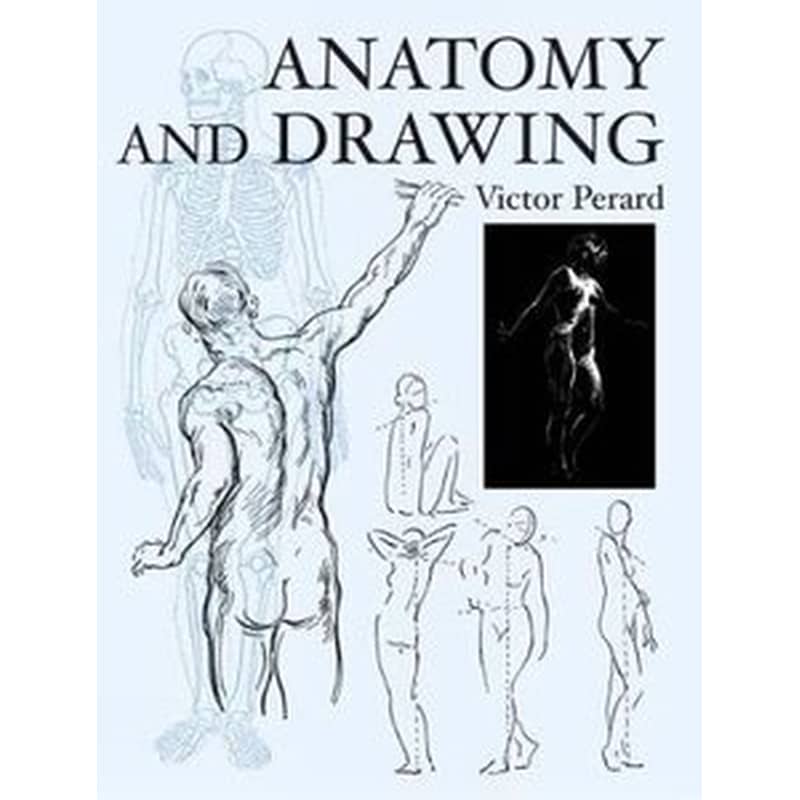 Anatomy and Drawing