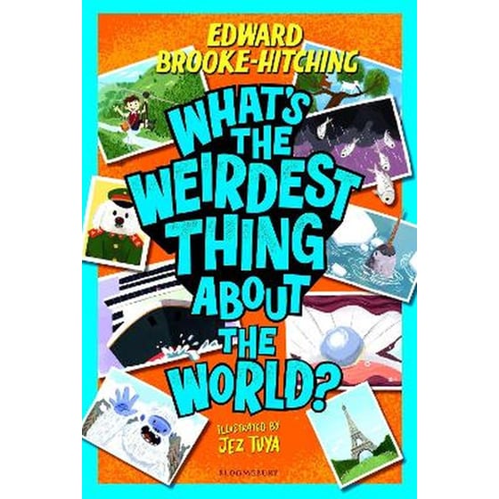 What's the Weirdest Thing About the World? image 0