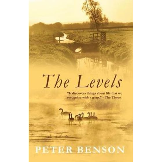 The Levels image 0