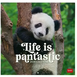 Ημερολόγιο Τοίχου Legami 2026 Life Is Pantastic 30x29cm