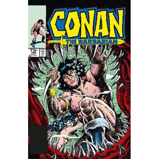 Conan The Barbarian: The Original Comics Omnibus Vol.7 image 0