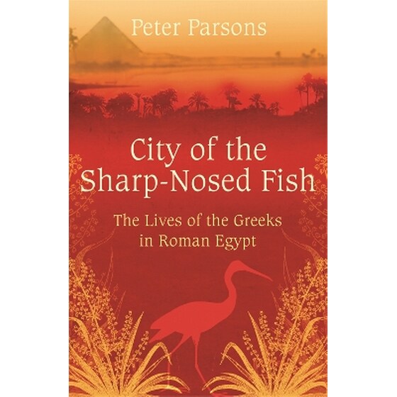 City of the Sharp-Nosed Fish image 0