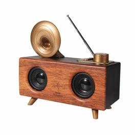 Φορητό Ηχείο Oem Apollo B6 5W - Καφέ