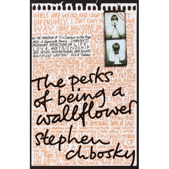 Perks of Being a Wallflower image 0
