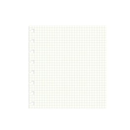 Ανταλλακτικό Χαρτί Filofax Α5 Notes White Squared