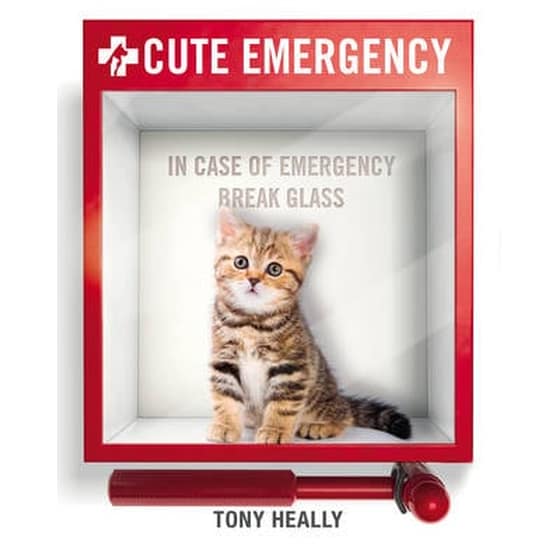 Cute Emergency image 0