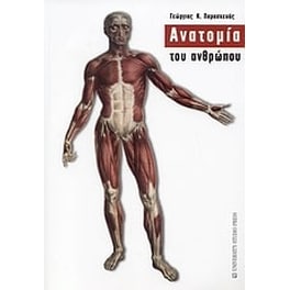 Ανατομία του ανθρώπου