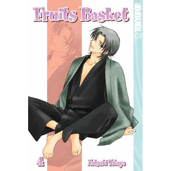 Fruits Basket v. 4 image 0