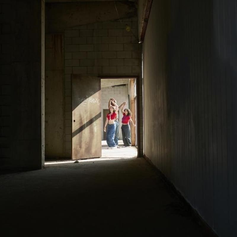 I Dont Have The Heart Flicker