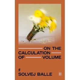 On the Calculation of Volume II
